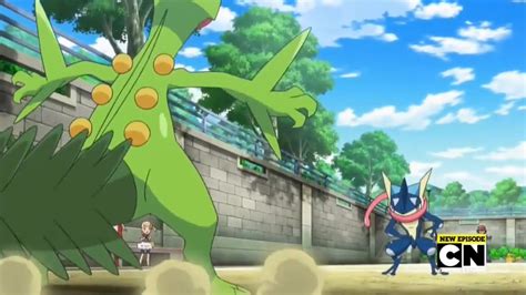 sceptile vs greninja.